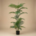 Phoenix Kunstpalme 120cm - Tropisches Flair ohne Pflege Bild 3