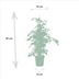 Ficus Houseplant Set: Danielle, Twilight & Moclame Bild 3