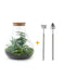 Flaschengarten Set Sam XL: DIY Mini-Ökosystem, 35cm Bild 1
