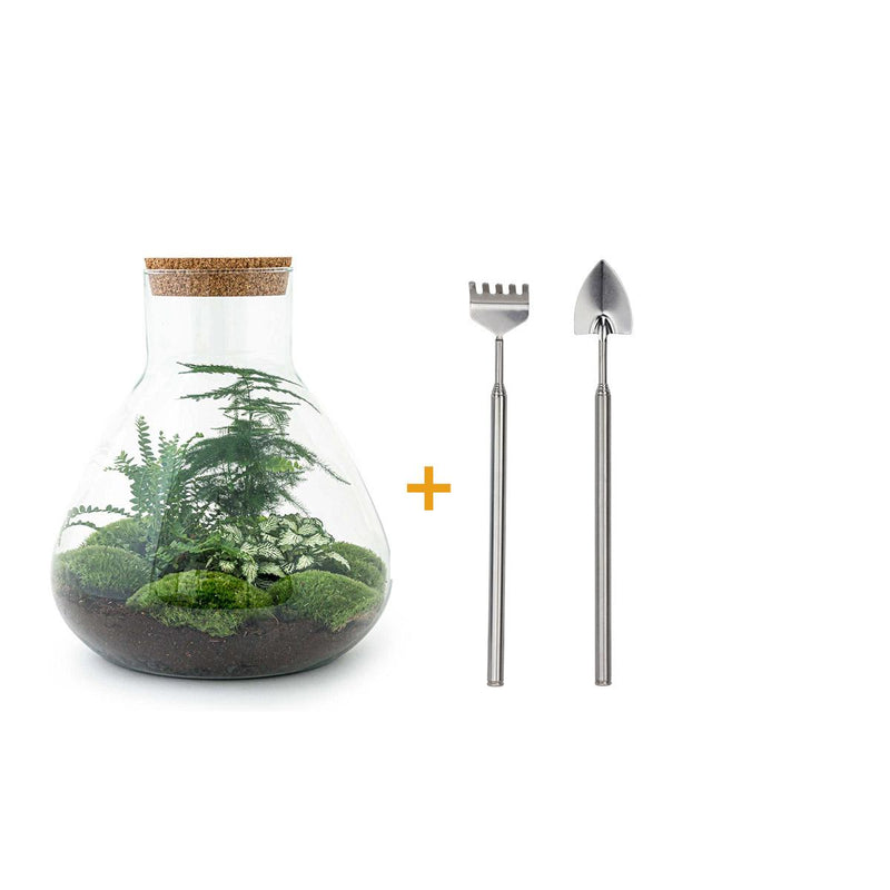 Flaschengarten Set Sam XL: DIY Mini-Ökosystem, 35cm