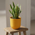 Elho Jazz Topf Rund Bernstein Gelb D23cm H21cm Bild 6