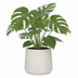 Jumbo Patt Blumentopf Elfenbein gewaschen D56xH47 Bild 3