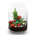 Frosty Kerstmis terrarium - Planten terrarium  DIY kit Christmas -  -  Ø 17 cm ↑ 25 cm Bild 1