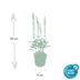 Salvia nem. 'Ostfriesland' (10-25cm), pack of 6, 9cm pot Bild 3