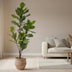 Künstliche Ficus Lyrata 'Tabakpflanze' - 150cm - Pflegeleicht Bild 4