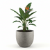Grigio New Egg Concrete Pot D65 x H54 Bild 3