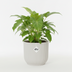 Elho Vibes Fold Planter with Wheels, White, D35xH33cm Bild 4