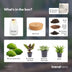 Eternal Terrarium XL DIY Set: Self-Sufficient Ecosystem for Your Home Bild 4