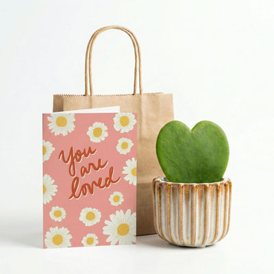 Geschenkset - Love Set - Herzpflanze, Topf, Grußkarte & Geschenktasche