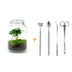 Coffee Arabica Bottle Garden DIY Kit incl. Accessories, 28cm Bild 1