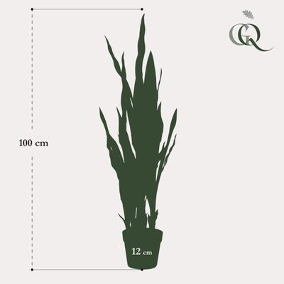 Kunstpflanze Sansevieria Black Coral, 97 cm - Frauen zunge