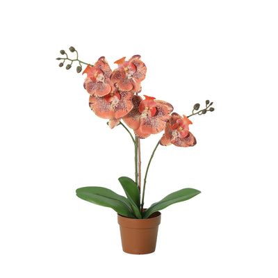 Künstliche Phalaenopsis-Orchidee orange - 41 cm