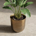Topf Mayk Gold: Stilvoller Übertopf D20cm, H22cm Bild 5