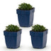 Green boutiQ - Perennial - Campanula portenschlagiana - Peachleaf Bellflower - Ground Cover - Pink - 3 Plants - Pot 11cm - Height 15-25cm Bild 1