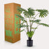 Künstlicher Philodendron, 80 cm – Grüne Deko für Ihr Zuhause Bild 5