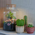 LOVE MOM Terrarium mit Licht - Muttertagsgeschenk DIY Flaschengarten Bild 6