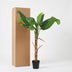Artificial Banana Plant Musa - 150 cm - Tropical Flair Without Maintenance Bild 6