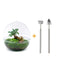 Flaschengarten Kuppel XL - Ficus Ginseng Bonsai DIY Set, 30 cm Bild 1