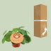 Pilea Peperomioides (Ø12cm, ↕20cm) – Trendige Zimmerpflanze Bild 4