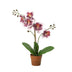 Artificial Orchid Phalaenopsis Violet/White, 41cm Bild 1