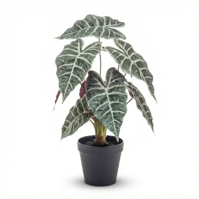 Alocasia Kunstpflanze im Topf, 40 cm - realistisch & pflegeleicht