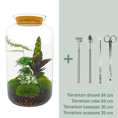 Flaschengarten Botanischer Sven XL DIY-Set mit Werkzeug (43 cm)