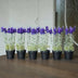 Lavendel - 6 Stück - Kunstpflanzen - Bundle-Set Bild 2