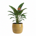 Babet Keramiktopf Camel D30xH27 - Eleganter Blumentopf für Ihr Zuhause Bild 3