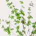 Kunstpflanze Tropaeolum Speciosum (Ostindische Kirsche), 150 cm Bild 3