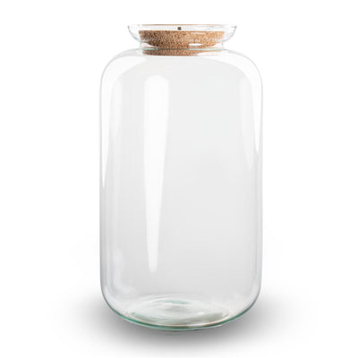 Sven XL Glas Terrarium mit LED-Korken Ø 23 cm ↑ 43 cm