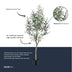 Künstlicher Olivenbaum 140 cm – Mediterranes Flair für Ihr Zuhause Bild 5
