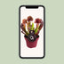 Sarracenia Catesbaei (Schlauchpflanze) Ø12cm, ↕23cm Bild 5