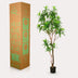 Künstliche Drachenbaum Pflanze - 190 cm Bild 5