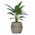 Harley L Planter Diorite Grey - D53 x H32 cm Bild 3
