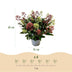 GreenboutiQ - Terrassenpflanze - Skimmia japonica Festival - Blüte Weiß & Rot - 15+ Blüten - 1 Pflanze - Winterhart - Topf 15cm Höhe 30cm Bild 4