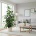 Ficus benjamina Danielle, Baum, 95cm hoch, 21cm Topf Bild 3