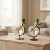 Clusia im Glas - 2er Set - Ø5cm - ↕10cm Bild 2
