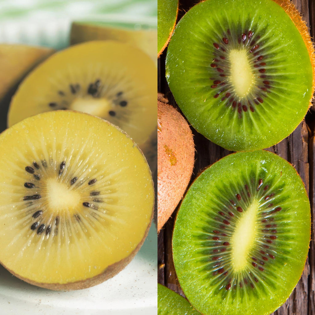 GreenboutiQ - Obstpflanze - Grüne & Gelbe Kiwi - Actinidia deliciosa Jenny & Goldene Kiwi - 2 Pflanzen - Topf 15cm Höhe 50cm