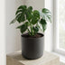 Elho B.for soft Blumentopf Anthrazit - 14 cm Bild 4