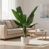 Artificial Banana Plant Musa 120cm - Tropical Flair Without the Fuss Bild 2