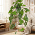 Künstliche Philodendron Hängepflanze - 80 cm - Pflegeleicht & Realistisch Bild 4