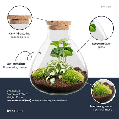 DIY-Terrarium Sammie – Dein eigenes Mini-Ökosystem