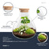 DIY-Terrarium Sammie – Dein eigenes Mini-Ökosystem Bild 2