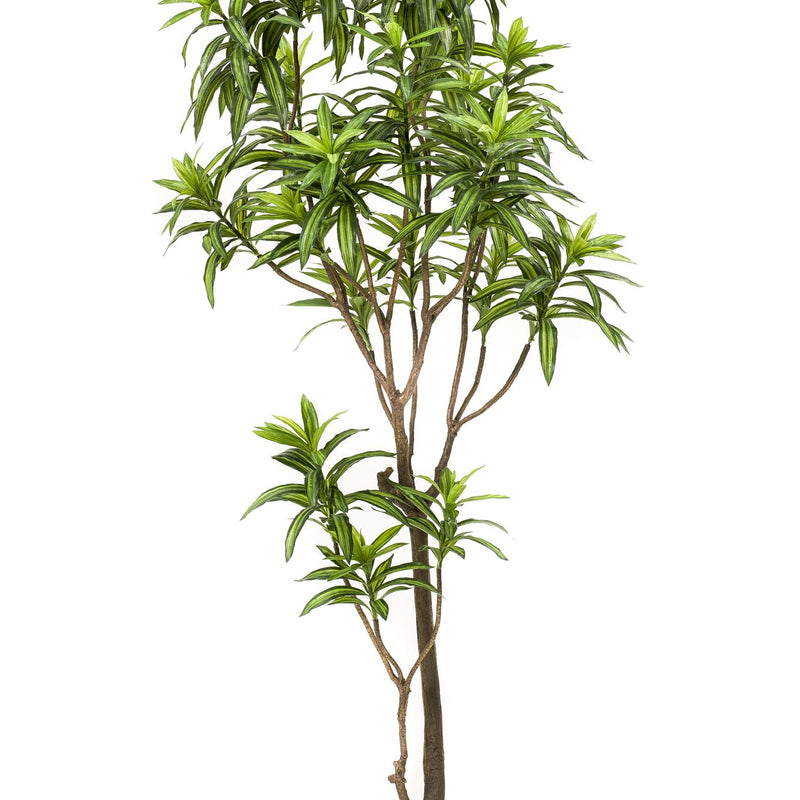 Künstliche Drachenbaum Pflanze - 190 cm