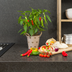 Rote scharfe Paprikapflanze, 45 cm, 14 cm Topf Bild 6