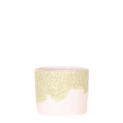 Kolibri Home Blumentopf Grün Ø6cm – Stilvoll für kleine Pflanzen