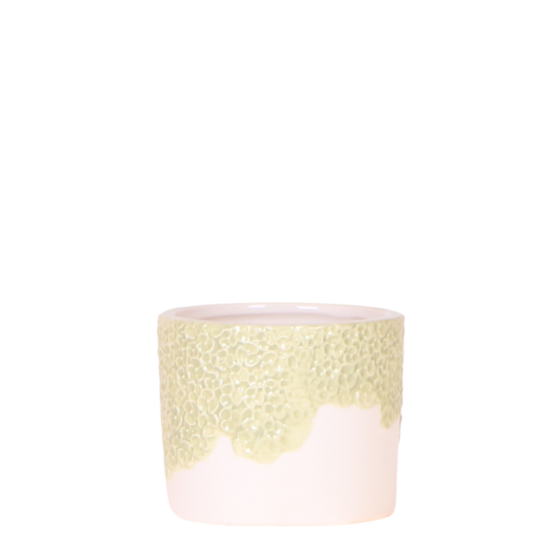 Kolibri Home Blumentopf Grün Ø6cm – Stilvoll für kleine Pflanzen