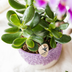 Kolibri Home Flower Pot Purple Ø9cm – Elegance for Your Home Bild 5