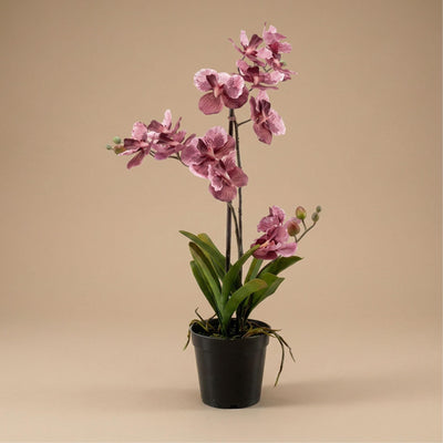 Künstliche Orchidee Vanda 60 cm Altrosa im Topf