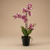 Künstliche Orchidee Vanda 60 cm Altrosa im Topf Bild 2